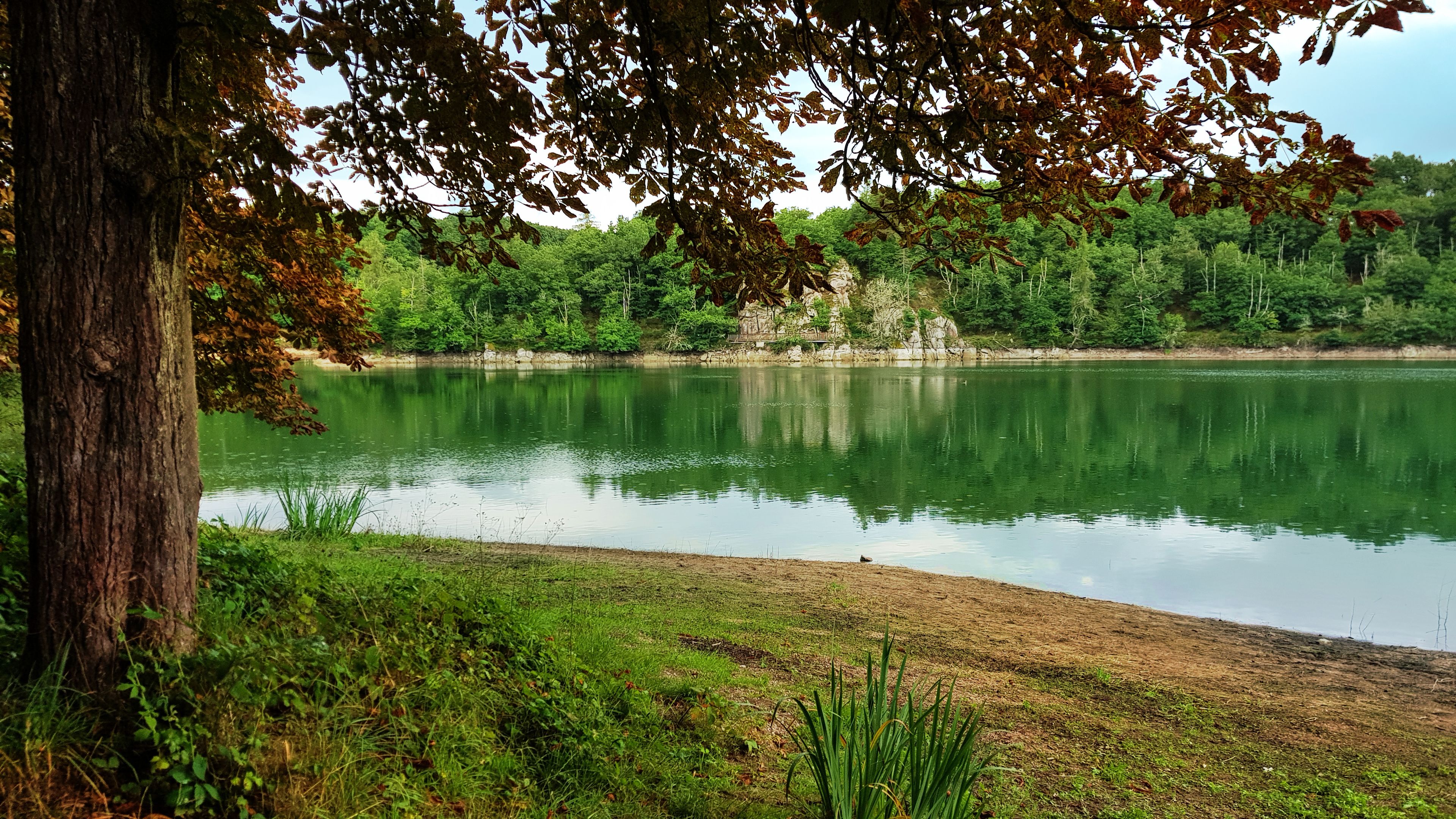 Un lac paisible, entouré d’une végétation luxuriante et d’arbres.