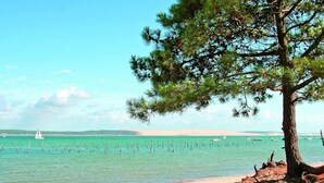 Une plage avec un arbre, une eau turquoise et limpide, et un voilier à l’horizon.