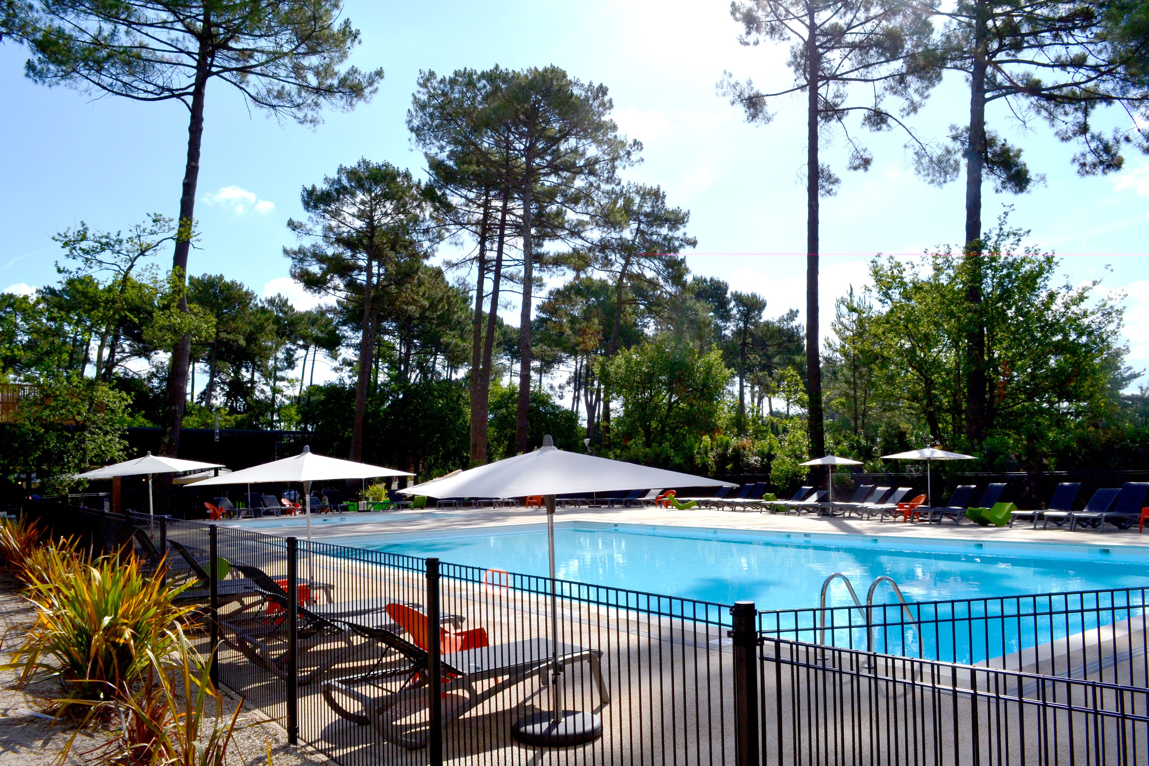 Une piscine entourée de grands arbres, avec des chaises longues et des parasols.