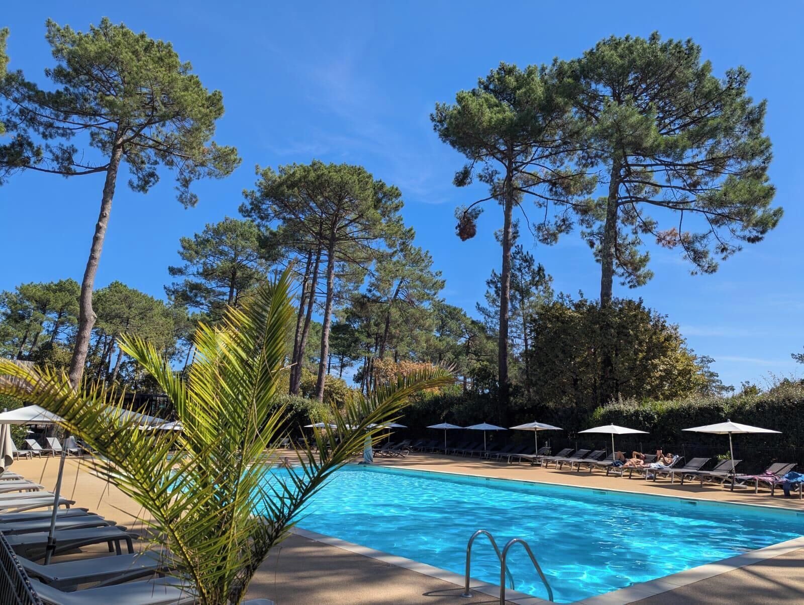 Piscina con sillones de descanso y sombrillas, rodeada de altos pinos.