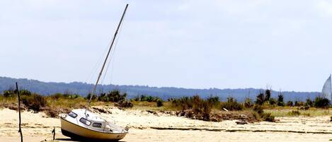 A sailboat on a sandy beach with a forested background.