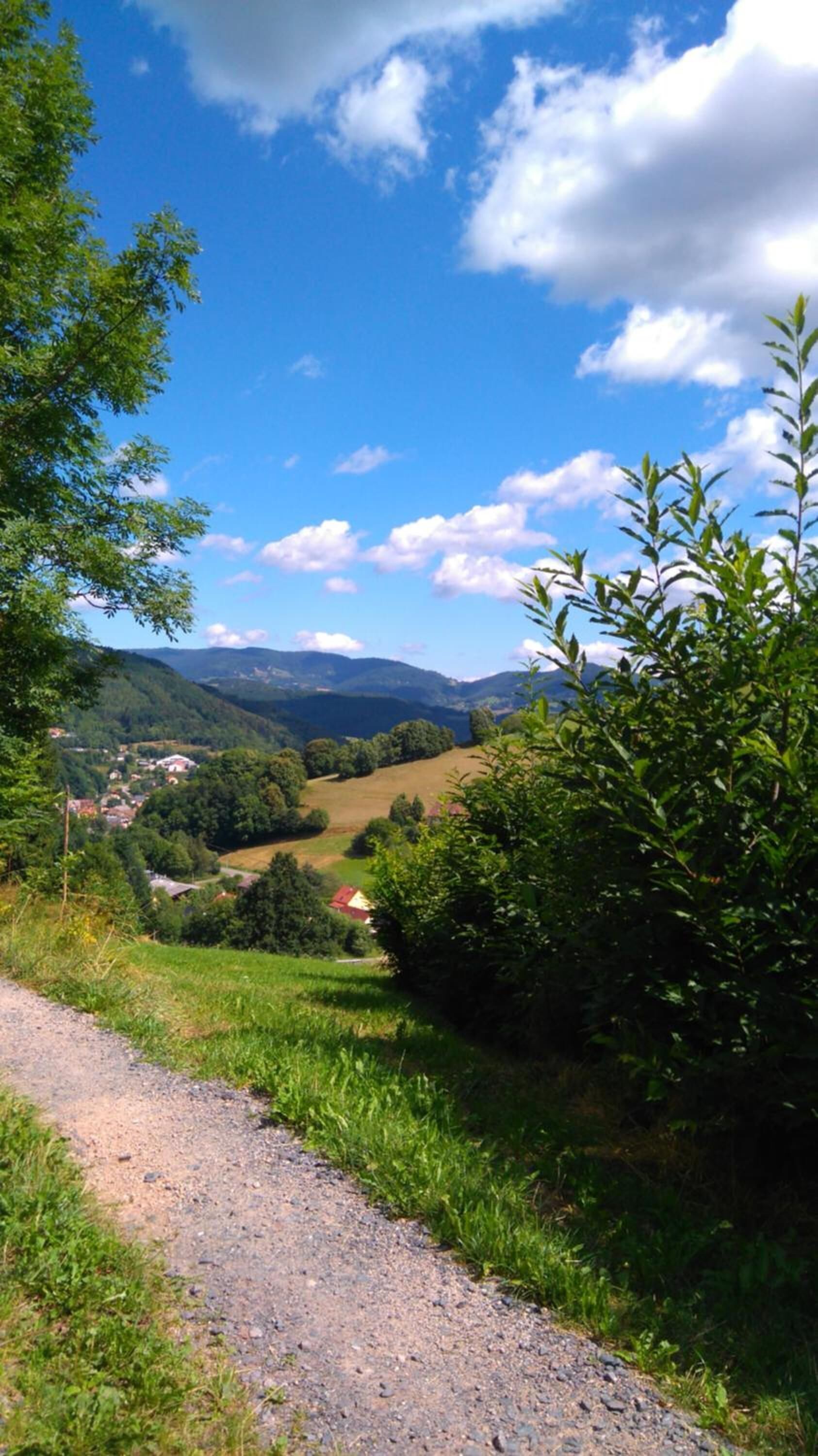 A rural landscape with a dirt path, green vegetation, and distant houses.