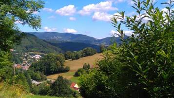 A rural landscape with a dirt path, green vegetation, and distant houses.