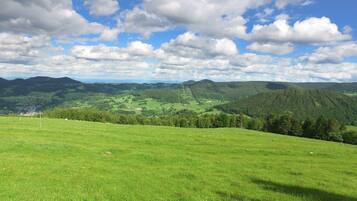 A panoramic view of a lush green valley with rolling hills and scattered houses.