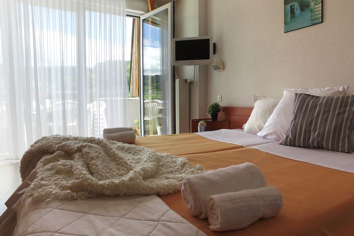 A hotel room with a bed, a TV, a small table with a plant, and a view through the window.