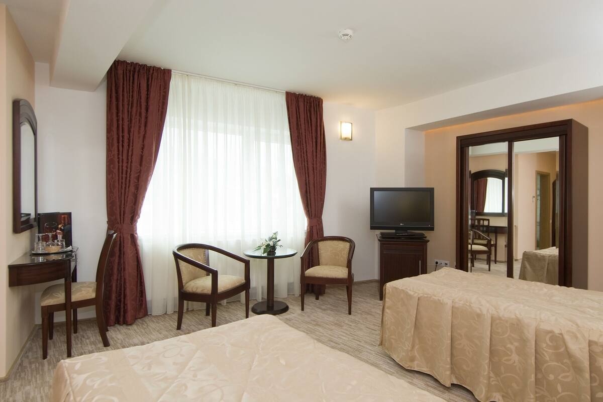 A hotel room with two beds, a television, a desk with a mirror, and a small table with a plant.