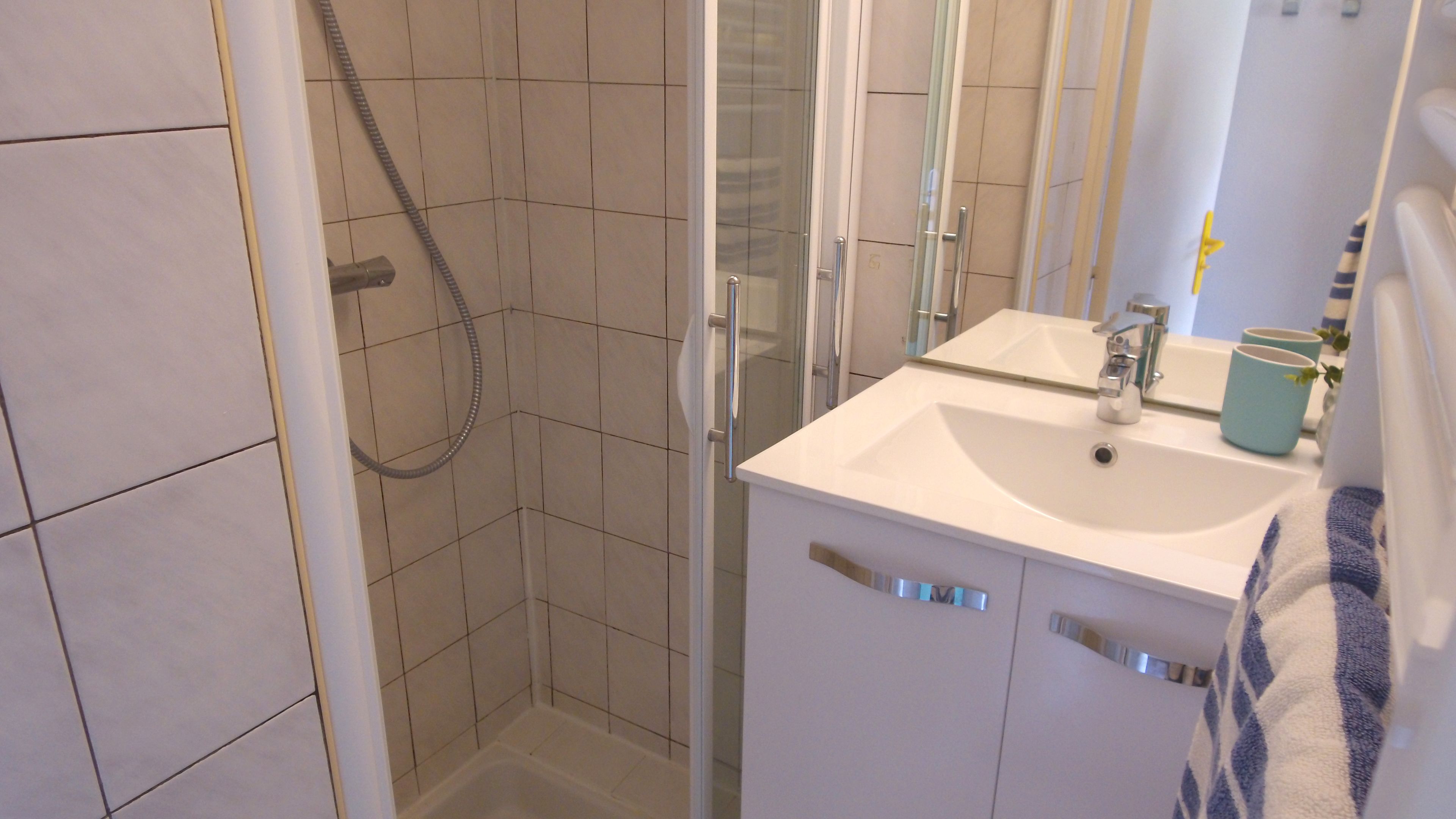 Une salle de bain avec une douche, un lavabo et un miroir.