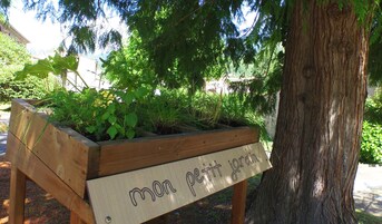 Uma caixa de plantio de madeira com uma placa que diz 'mon petit jardin' colocada sob uma árvore.