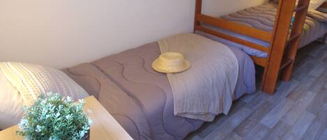 Una cama litera con un sombrero en la cama inferior y una planta pequeña al lado.