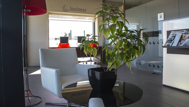 Un espacio de oficina moderno con un separador de vidrio, un sofá blanco, una mesa negra y una planta en maceta.