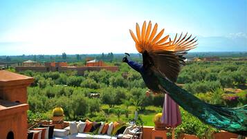 Vue depuis lâhĂ©bergement