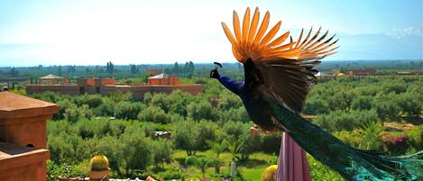 Vistas desde el alojamiento