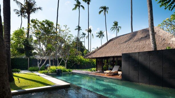 A swimming pool with a thatched-roof structure, surrounded by palm trees and greenery.