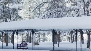 A snow-covered park with a bench and trees. - Chalet Belmont Hotel (Flims)