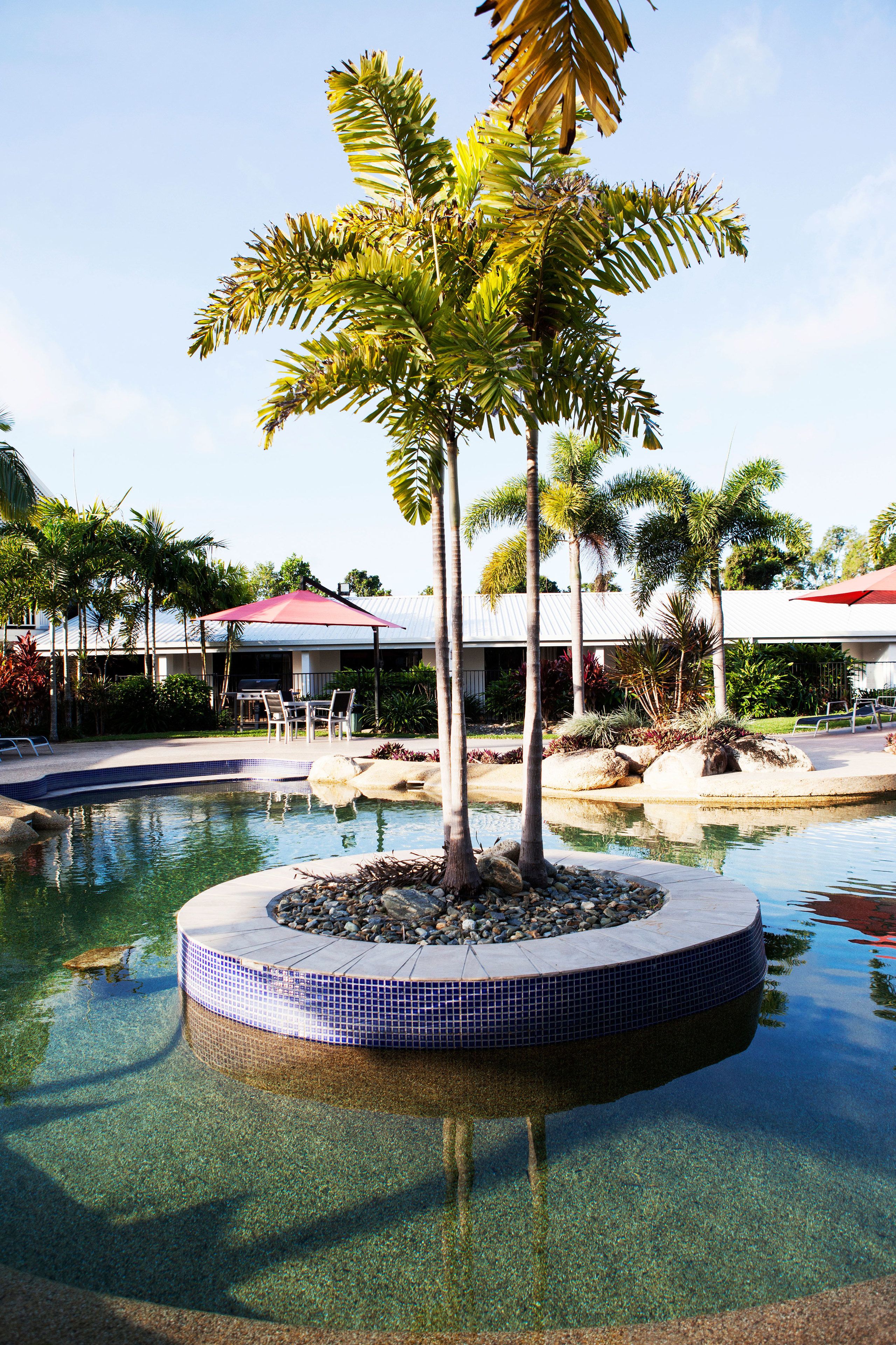 A circular pool with a tiled edge, surrounded by palm trees and a patio area with chairs and umbrellas.