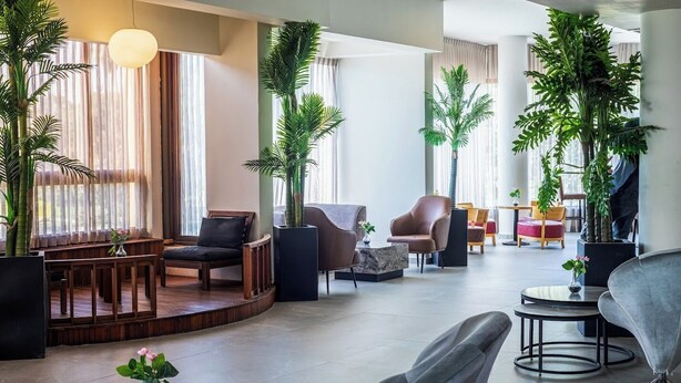 Un vestíbulo amplio con una zona de estar con banca de madera, varias sillas y plantas en macetas.