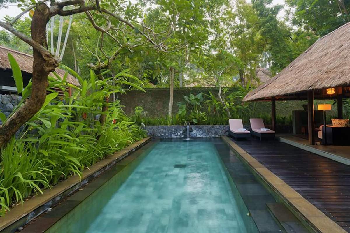 A pool with lounge chairs and a thatched-roof structure, surrounded by lush greenery.