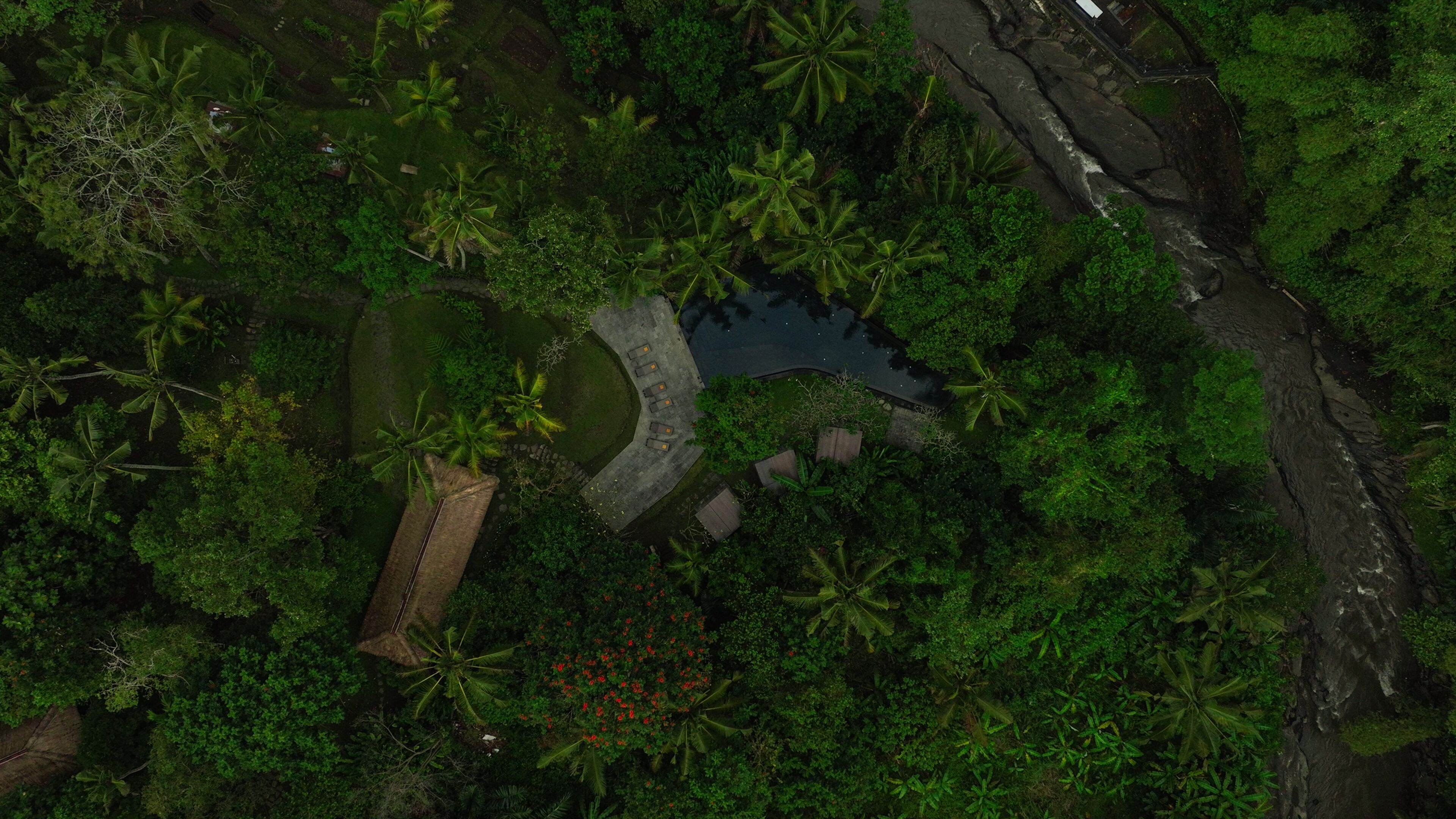 An aerial view of a tropical resort with a central water feature, surrounded by dense vegetation and palm trees.