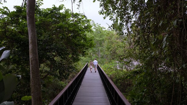 A wooden bridge surrounded by dense greenery. - Kayumanis Ubud Private Villas & Spa (Ubud)