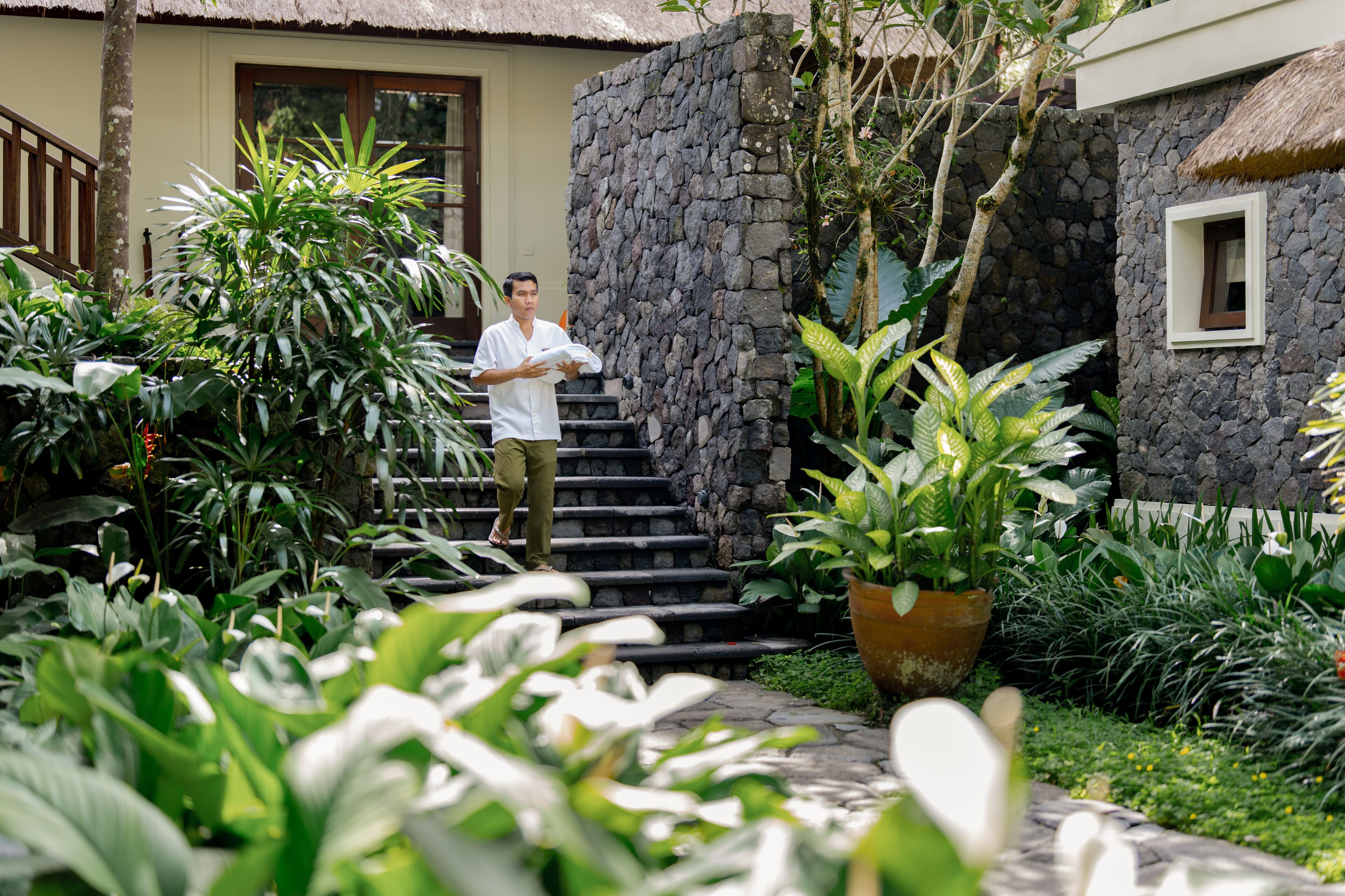 Pemandangan dari properti