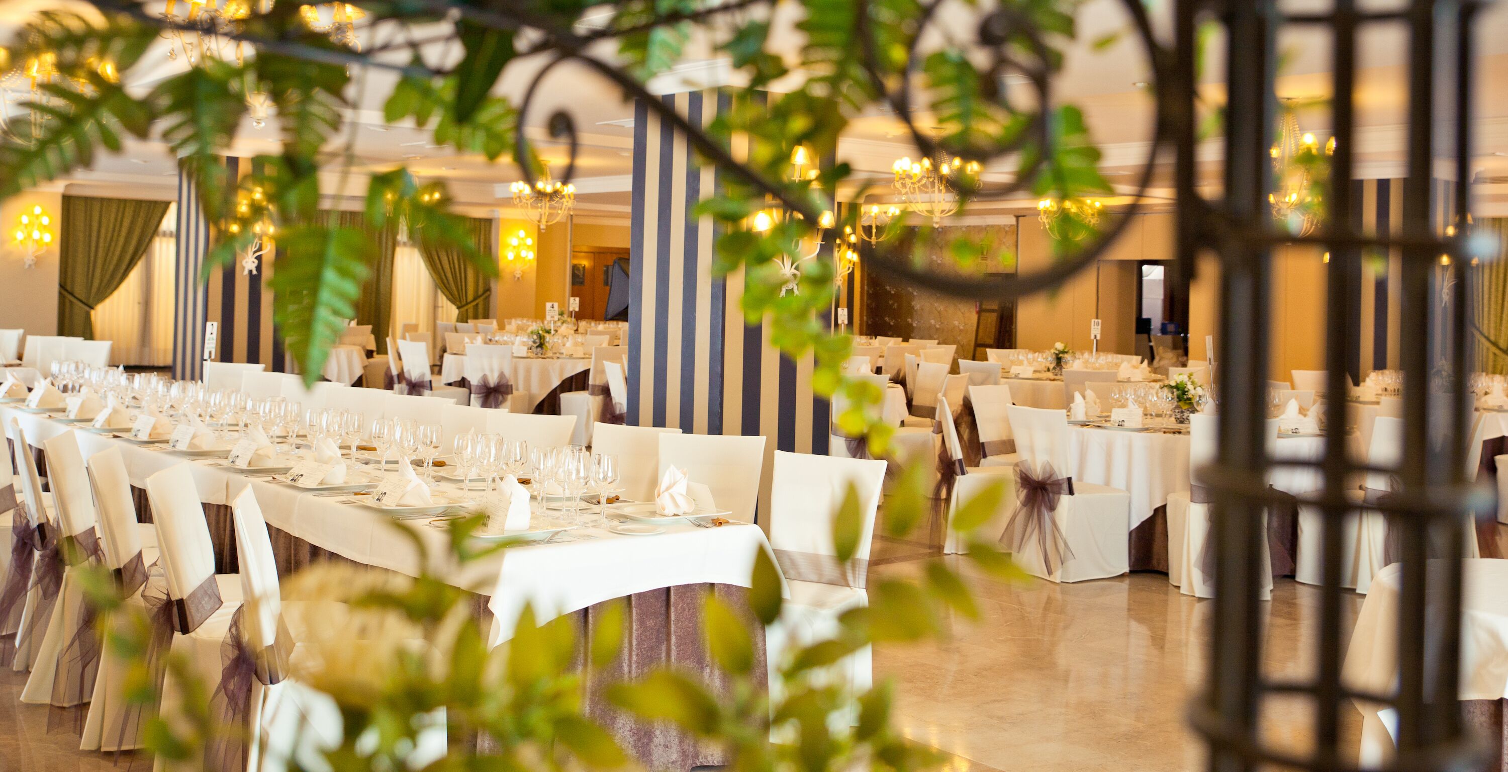 Outdoor wedding area