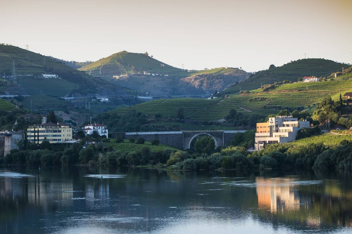 A riverside view with a bridge, buildings, and vineyards.