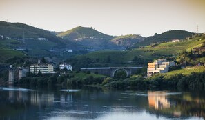 A riverside view with a bridge, buildings, and vineyards. - Vila Gale Collection Douro Hotel (Lamego)