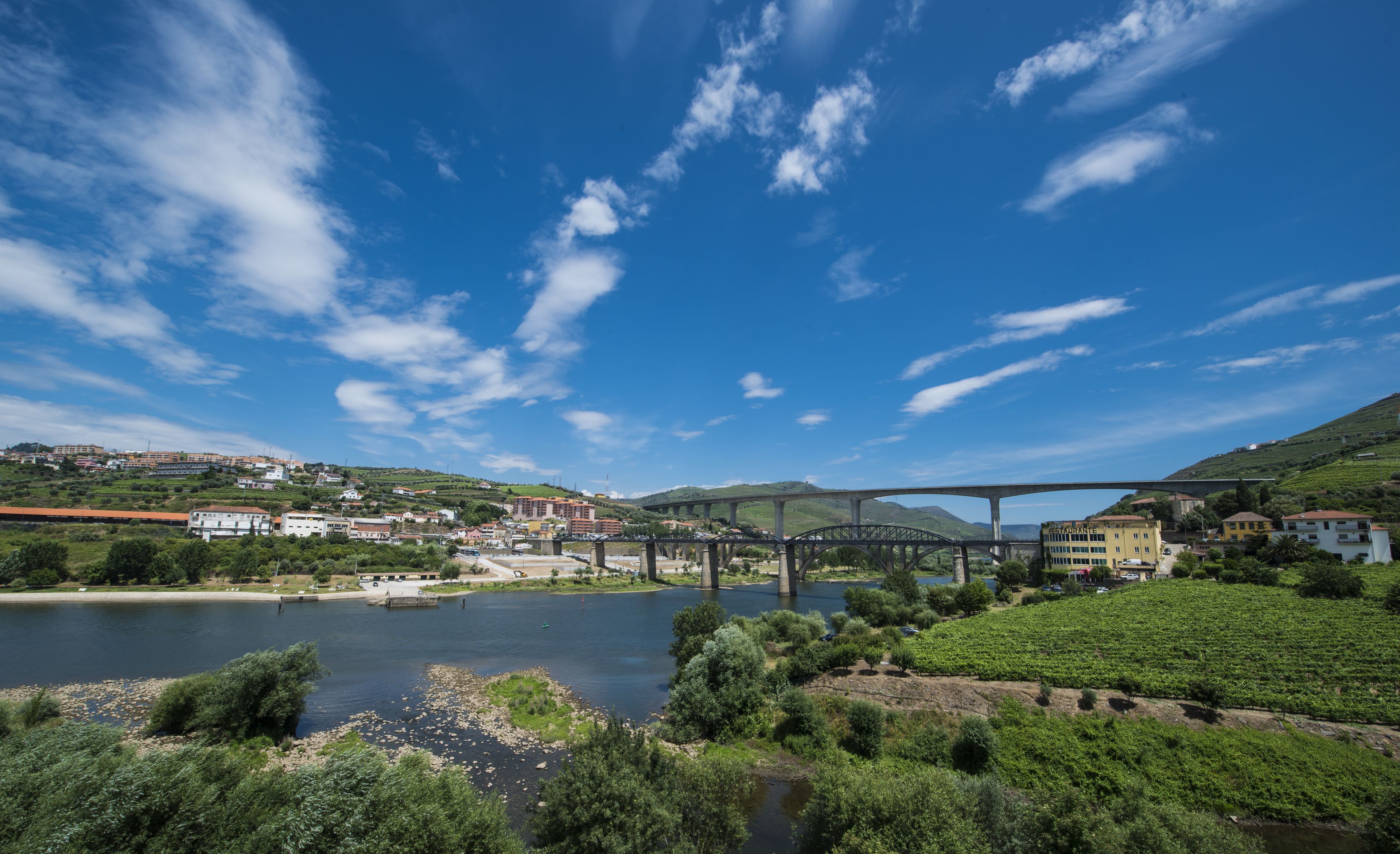 A river with a bridge, a town in the background, and vineyards in the foreground.