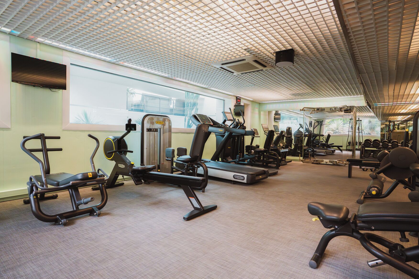 Un gimnasio con diversos equipos de ejercicio, incluyendo cintas de correr y máquinas de pesas, y un amplio ventanal que proporciona luz natural.