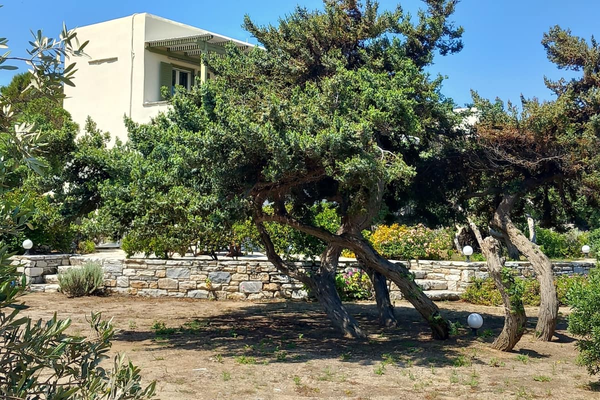 Superior Villa, 2 Bedrooms, Patio, Sea View | 2 bedrooms, premium bedding, down comforters, in-room safe