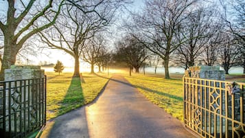 Park view
