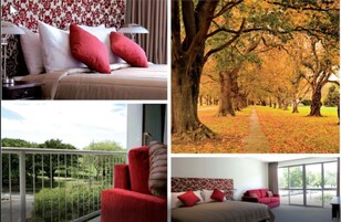 Decoración individual, mobiliario individual, escritorio