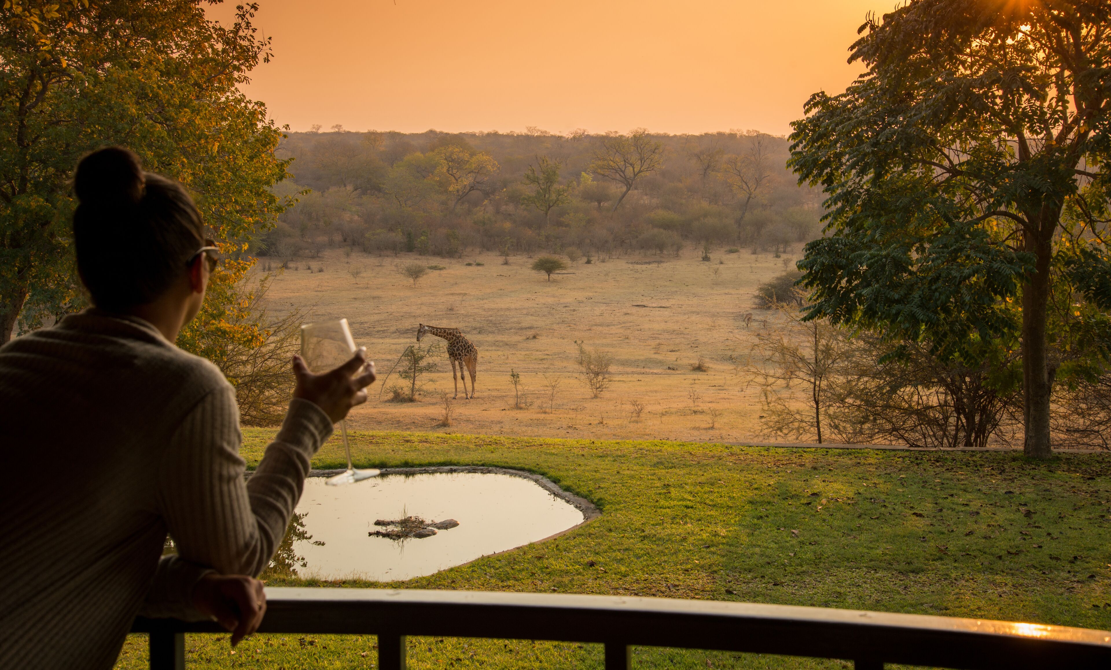 A person observing wildlife from a viewing area with a pond and trees.