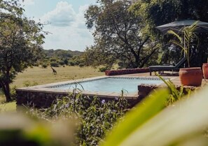 A swimming pool with a stone edge, surrounded by greenery and trees.