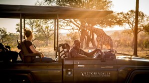 A safari vehicle with a canopy, labeled "Victoria Falls Private Game Reserve Zimbabwe."