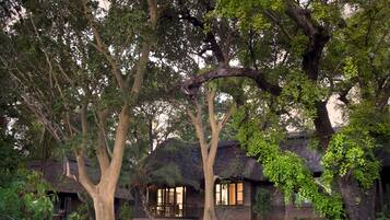 A traditional thatched-roof house surrounded by lush greenery and a pond with lily pads.