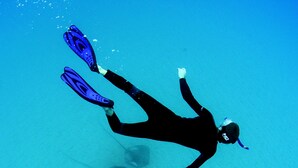 Un buzo nadando bajo el agua con aletas y máscara.