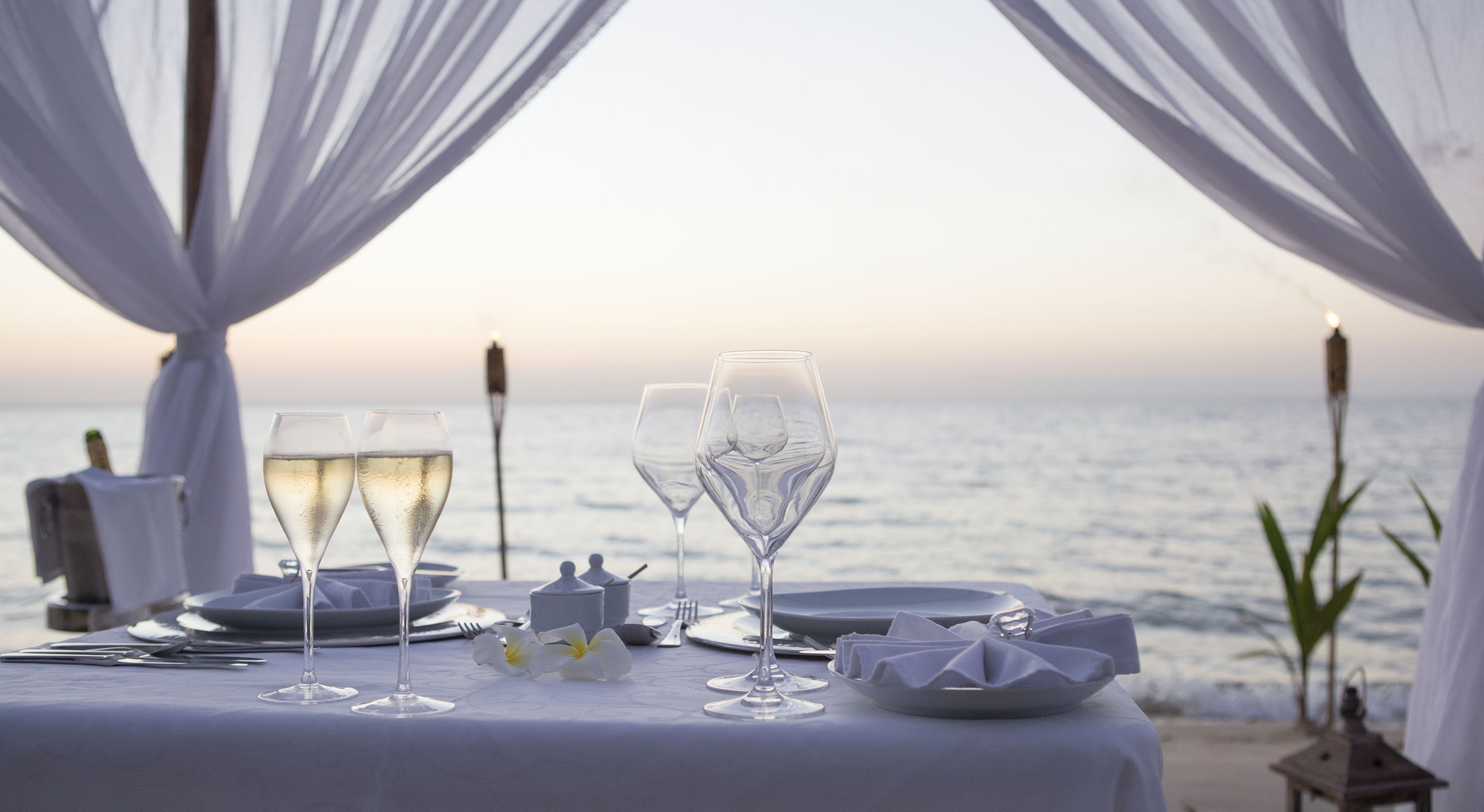 Couples dining