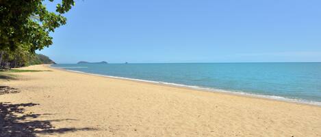 A beach with clear blue water, sandy shore, and a few trees providing shade.