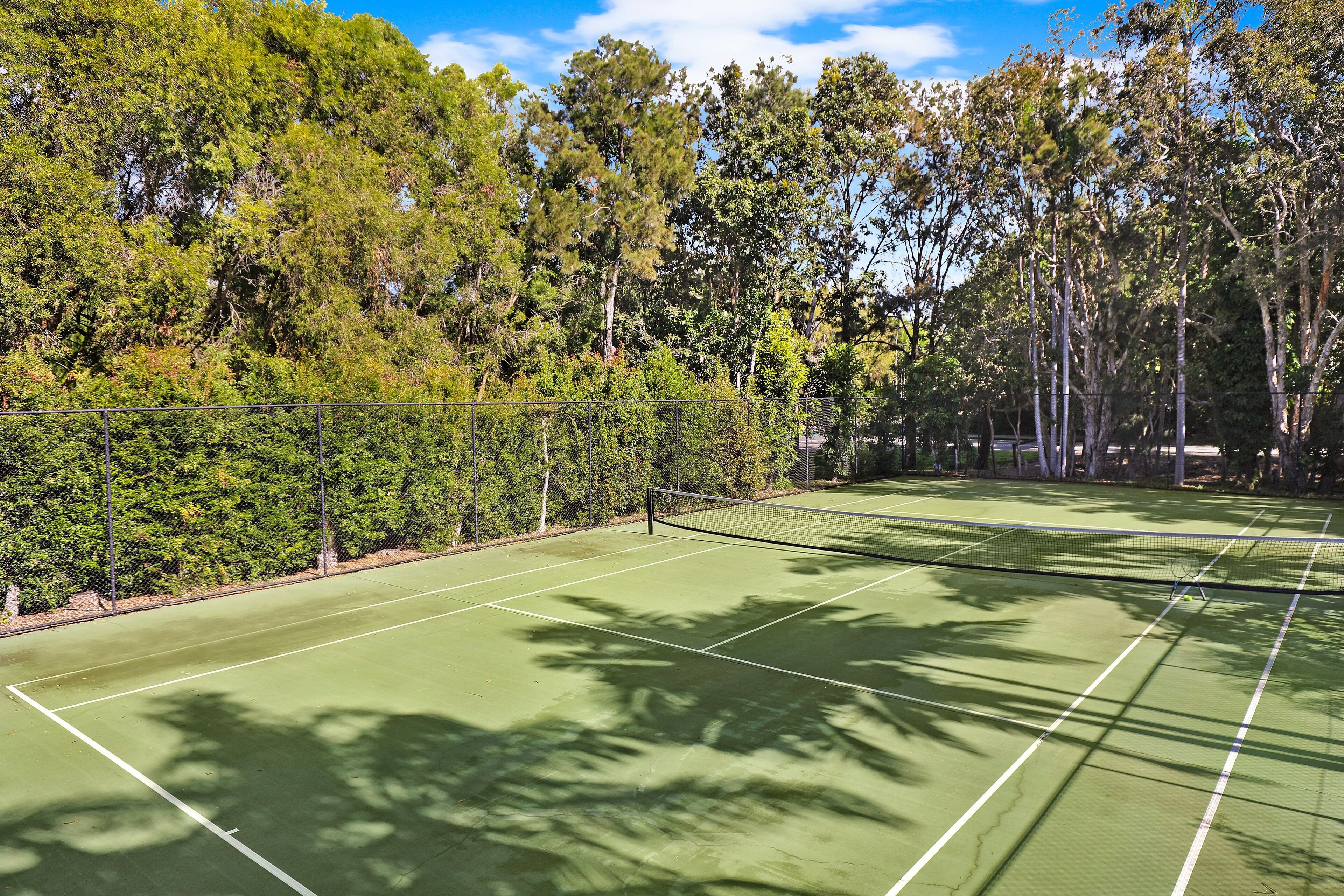 A tennis court surrounded by trees.