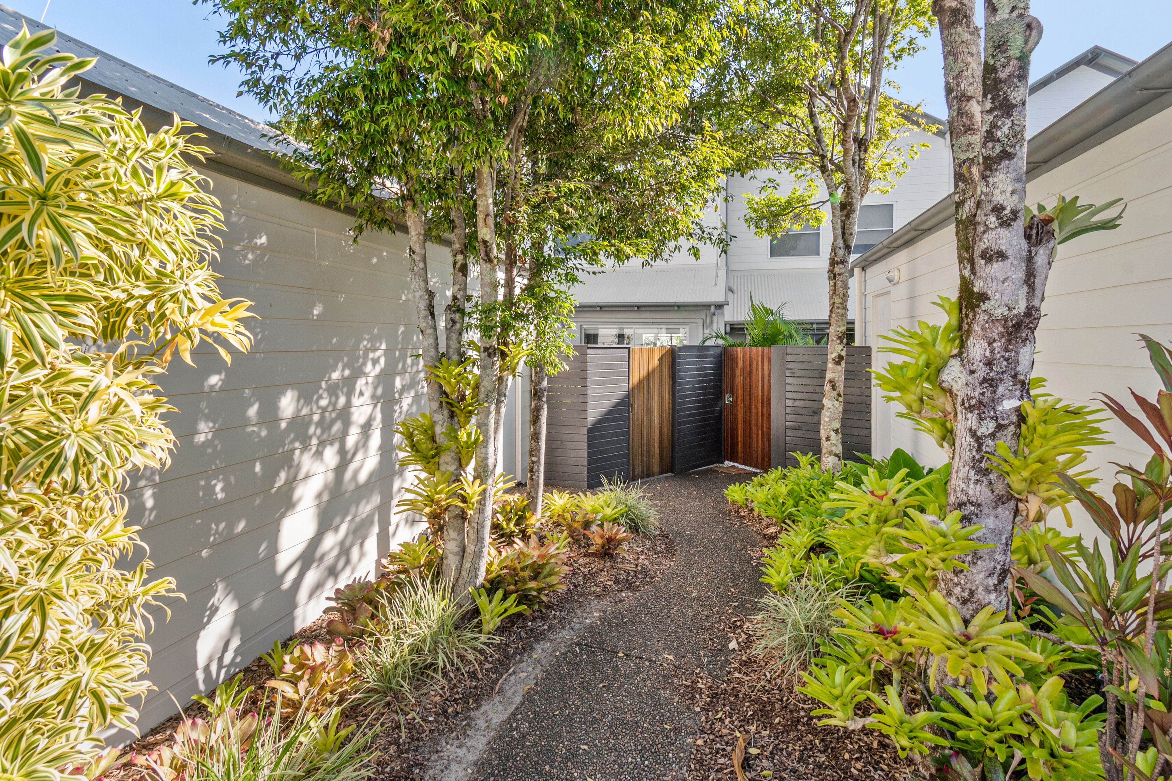 A narrow pathway flanked by various plants and trees, leading to a wooden gate.