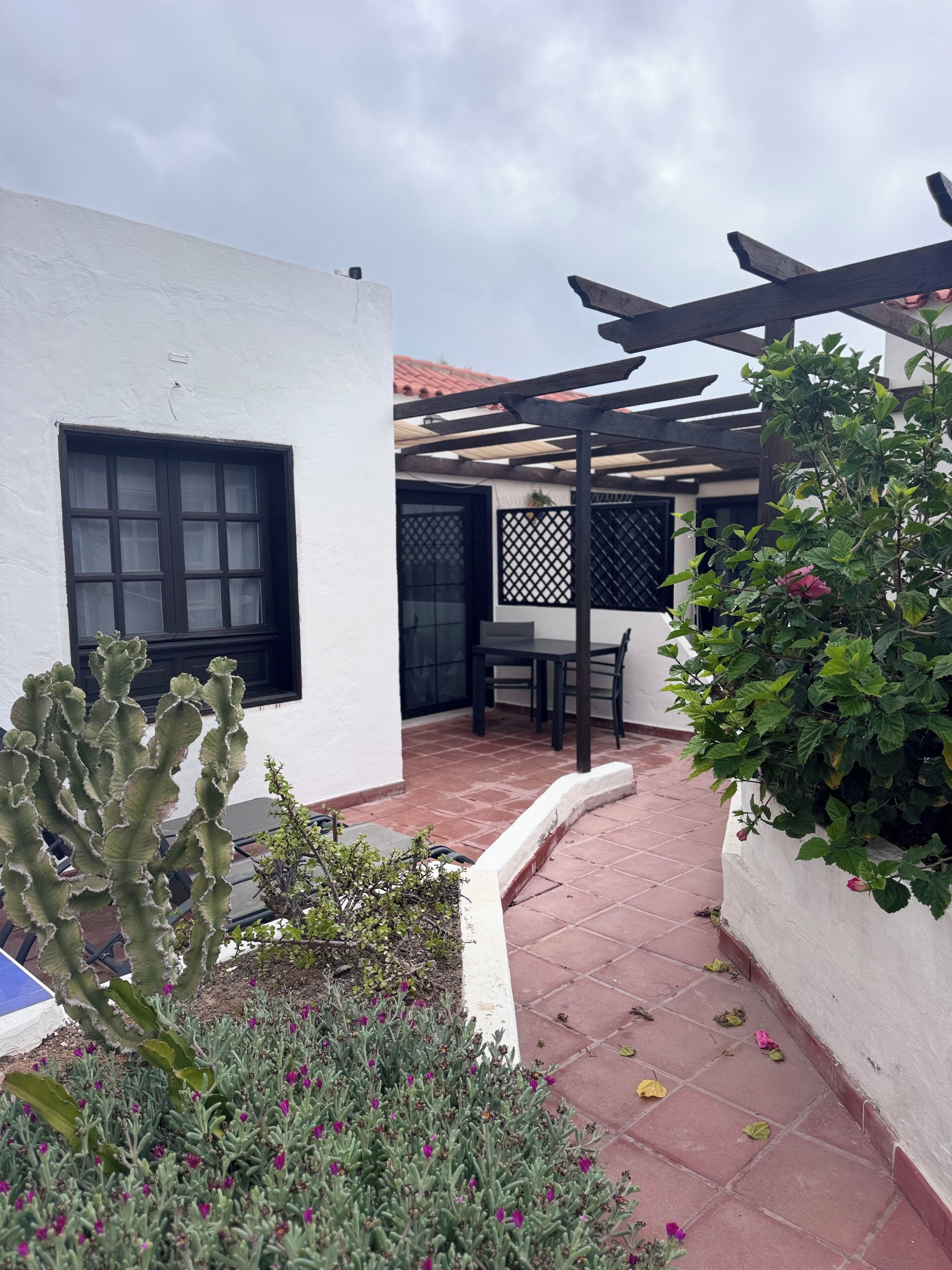 Un patio con un cactus, una pérgola y una mesa con sillas.