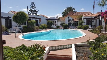 Una piscina rodeada por un patio con suelo de baldosas, enmarcado por follaje y plantas pequeñas.