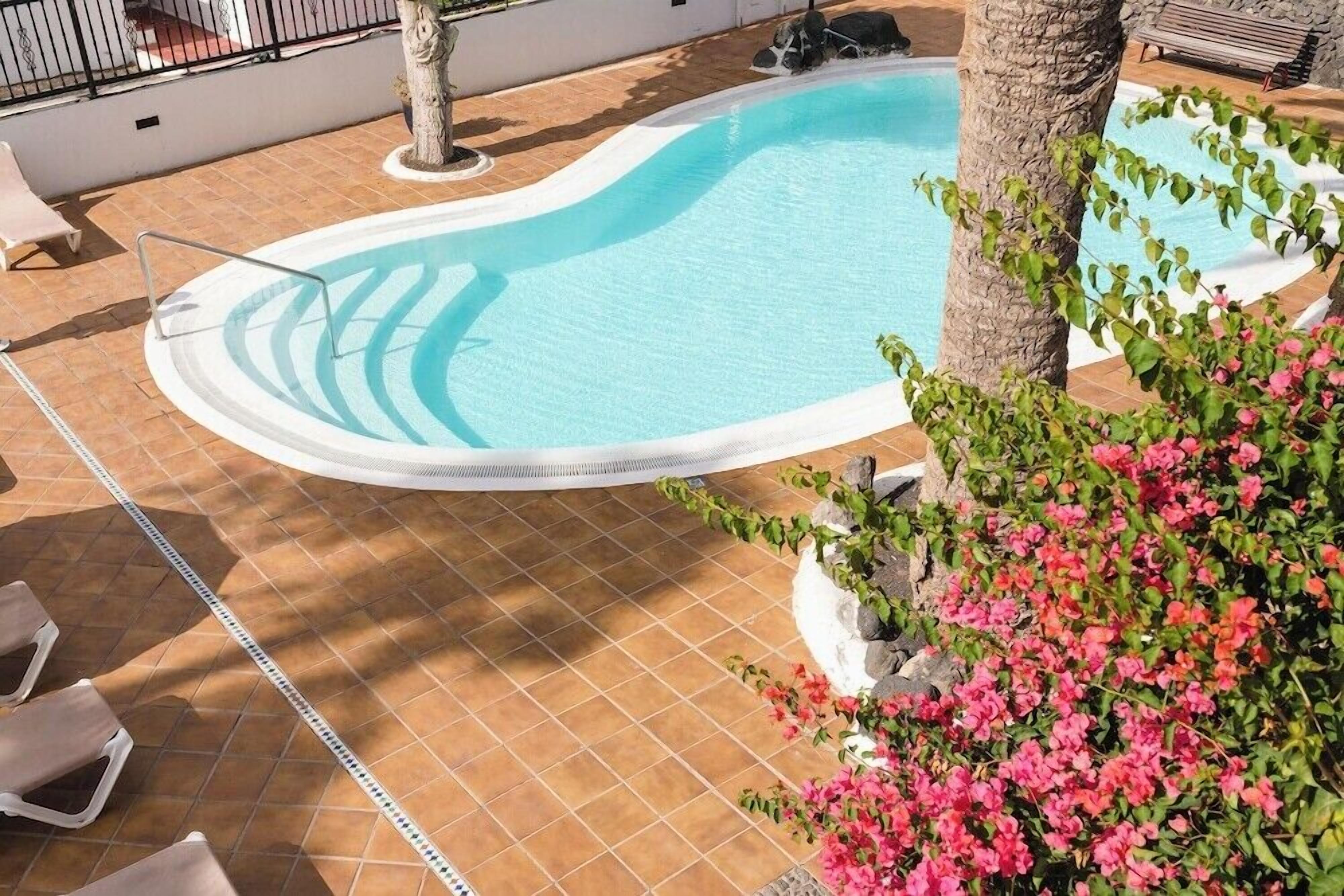 Une piscine avec une terrasse carrelée, des chaises longues et un palmier.