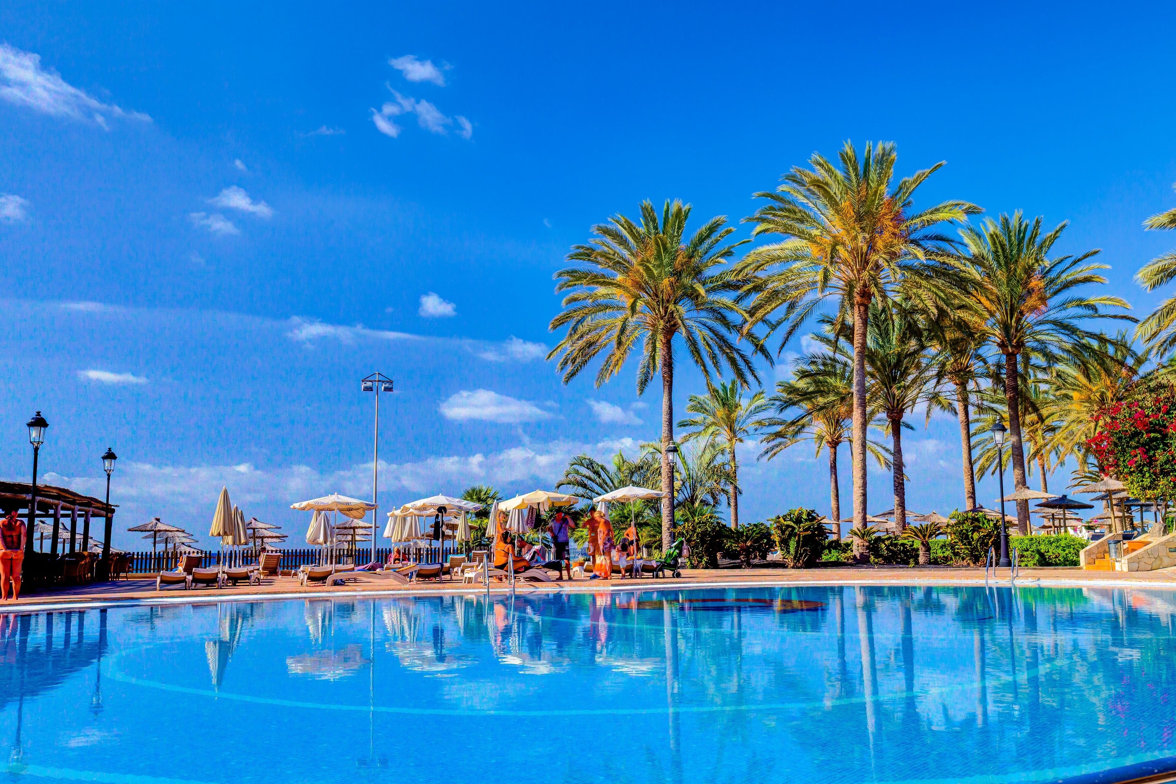 A pool area with lounge chairs and umbrellas, surrounded by palm trees.