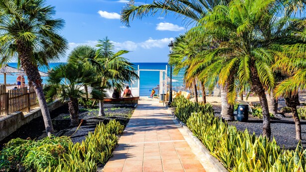 A pathway leading to a beach with palm trees and a clear view of the ocean. - SBH Costa Calma Beach Resort (Pajara)