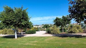 Un parc avec des arbres, un banc et un ciel dégagé.