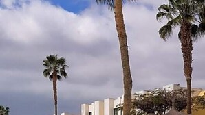 Ein Swimmingpool mit Palmen, ein weißes Gebäude mit Balkonen und einem klaren Himmel.