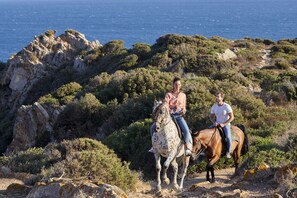 Zwei Personen reiten auf Pferden auf einem felsigen Pfad mit Blick auf das Meer und grüne Landschaften im Hintergrund.