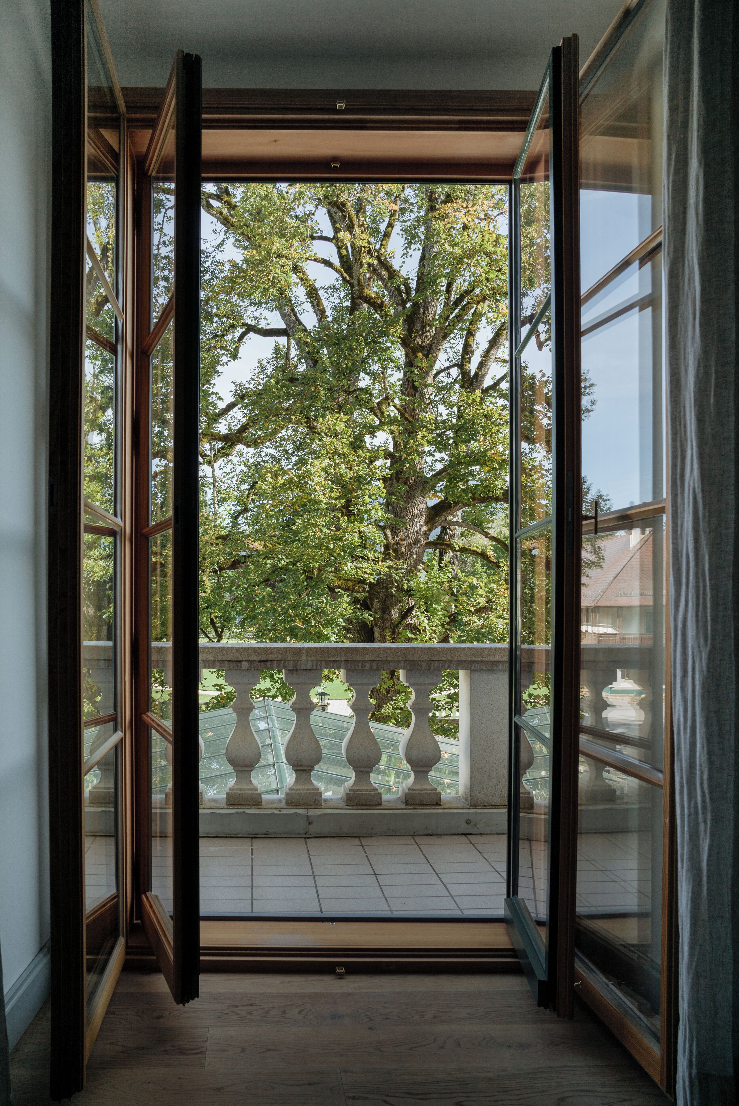linden tree suite | view from room
